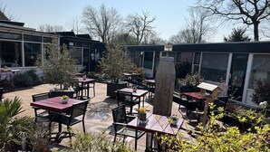 Un patio al aire libre con mesas y sillas, rodeado de plantas en macetas y árboles.