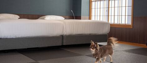 A hotel room with a bed, a small dog, and a large window.