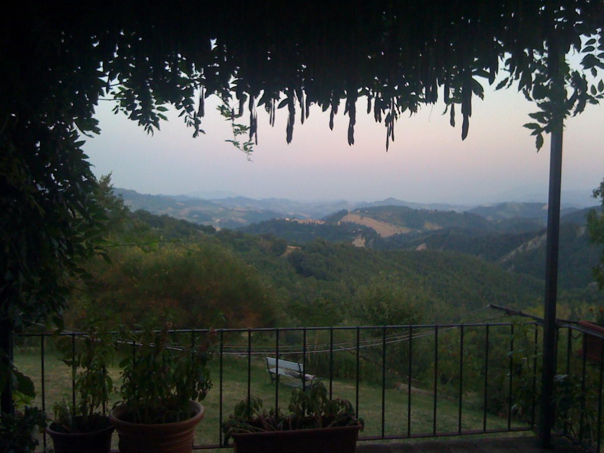 Varanda com vista para um vale, rodeada por plantas em vasos.