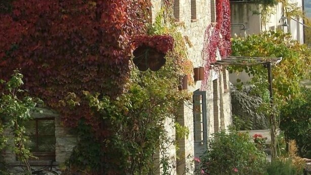 Un bâtiment en pierre dont les murs sont recouverts de lierre rouge, avec un escalier en pierre et un jardin agrémenté de rochers et de verdure.