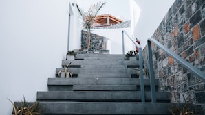 Una escalera de hormigón con barandillas metálicas y plantas en macetas.