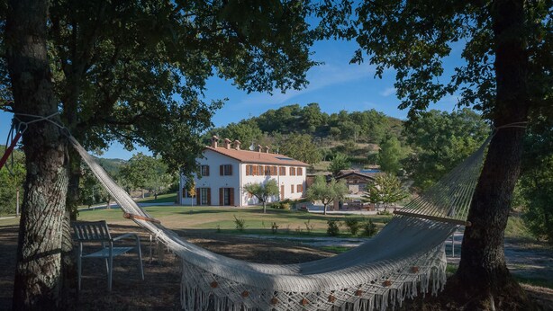 A hammock tied between two trees in a park with a house in the background. - Agriturismo Il Beccafico Alpaca (Gubbio)