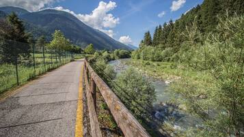 A paved road with a wooden guardrail, flanked by lush greenery and a river.