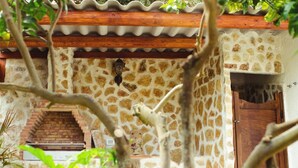 A rustic building with a stone facade, a wooden door, and a brick staircase leading to an upper level. - La Casa Siciliana (Custonaci)
