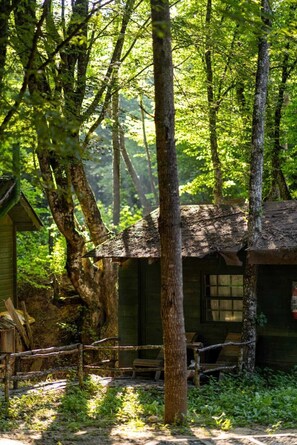 Bungalow (1) | Uitzicht op de tuin