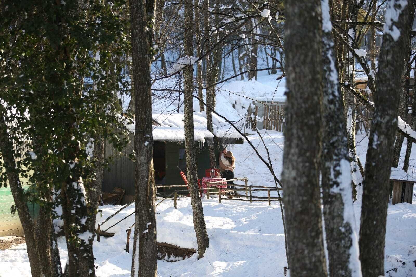 Una cabaña rústica rodeada de árboles cubiertos de nieve.