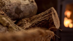 A close-up of a log and a woven basket, likely in a rustic setting.