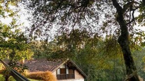 A house with a sloped roof, surrounded by trees and grass.