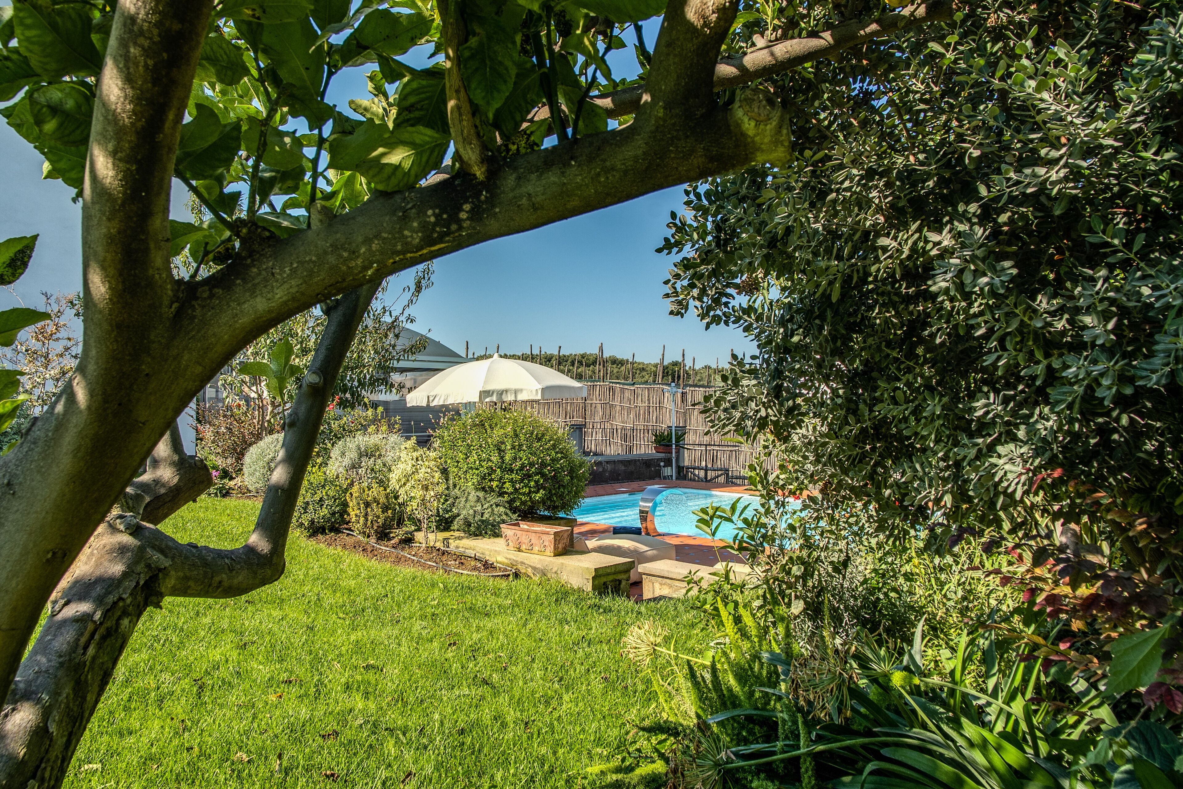 Un giardino sul retro con piscina, circondato da vegetazione lussureggiante e un recinto in legno.