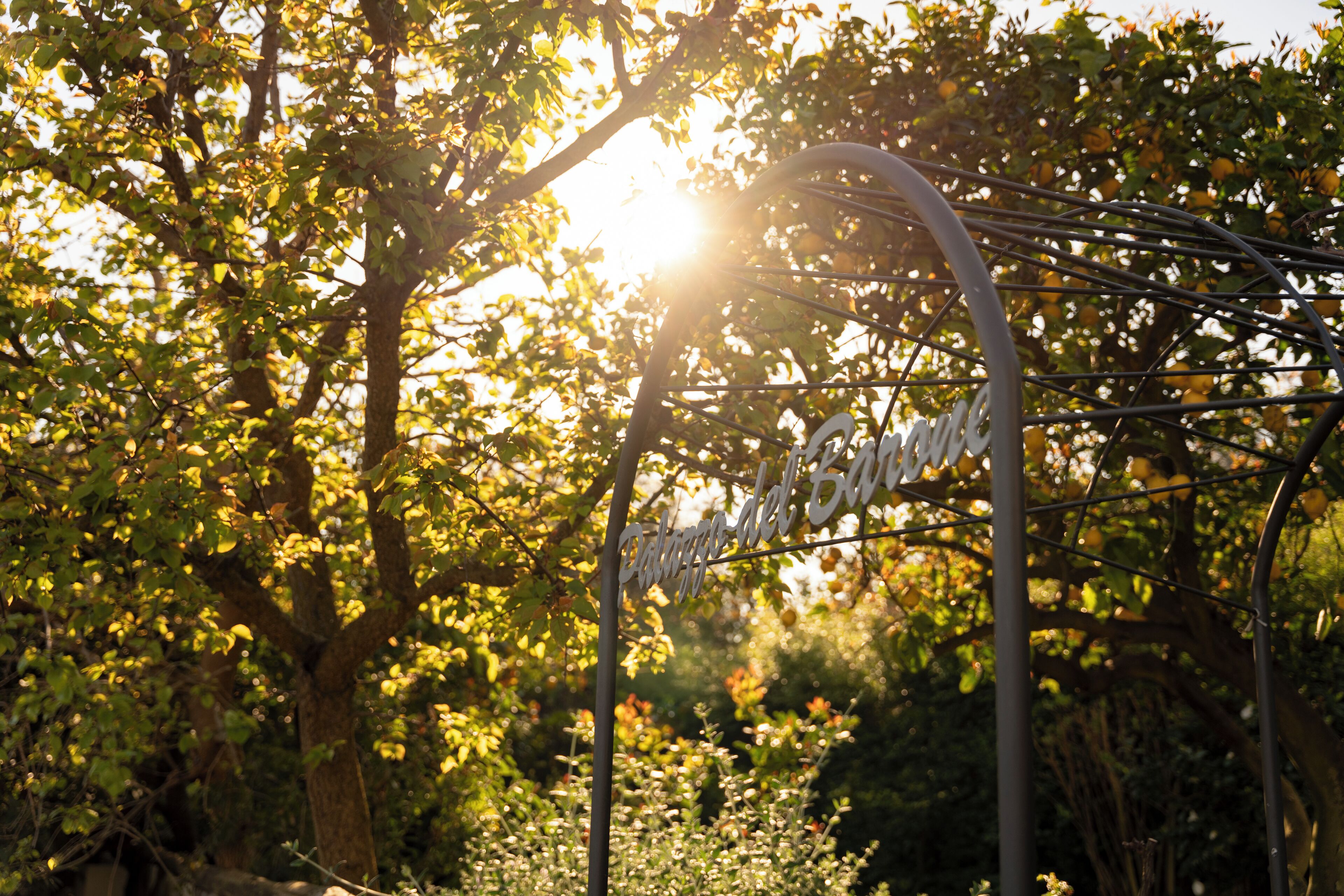 Foto - Relais Palazzo del Barone