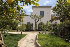 Vista al jardín