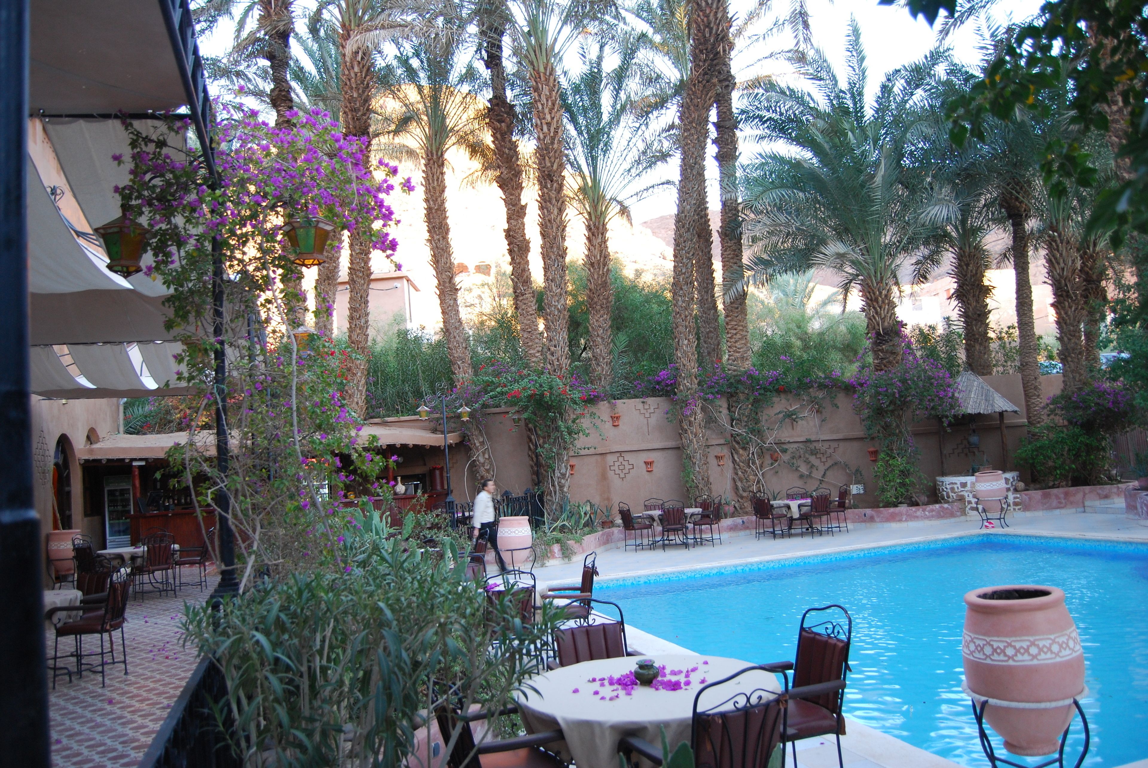 Zona de piscina con mesas y sillas, rodeada de palmeras y plantas en flor.