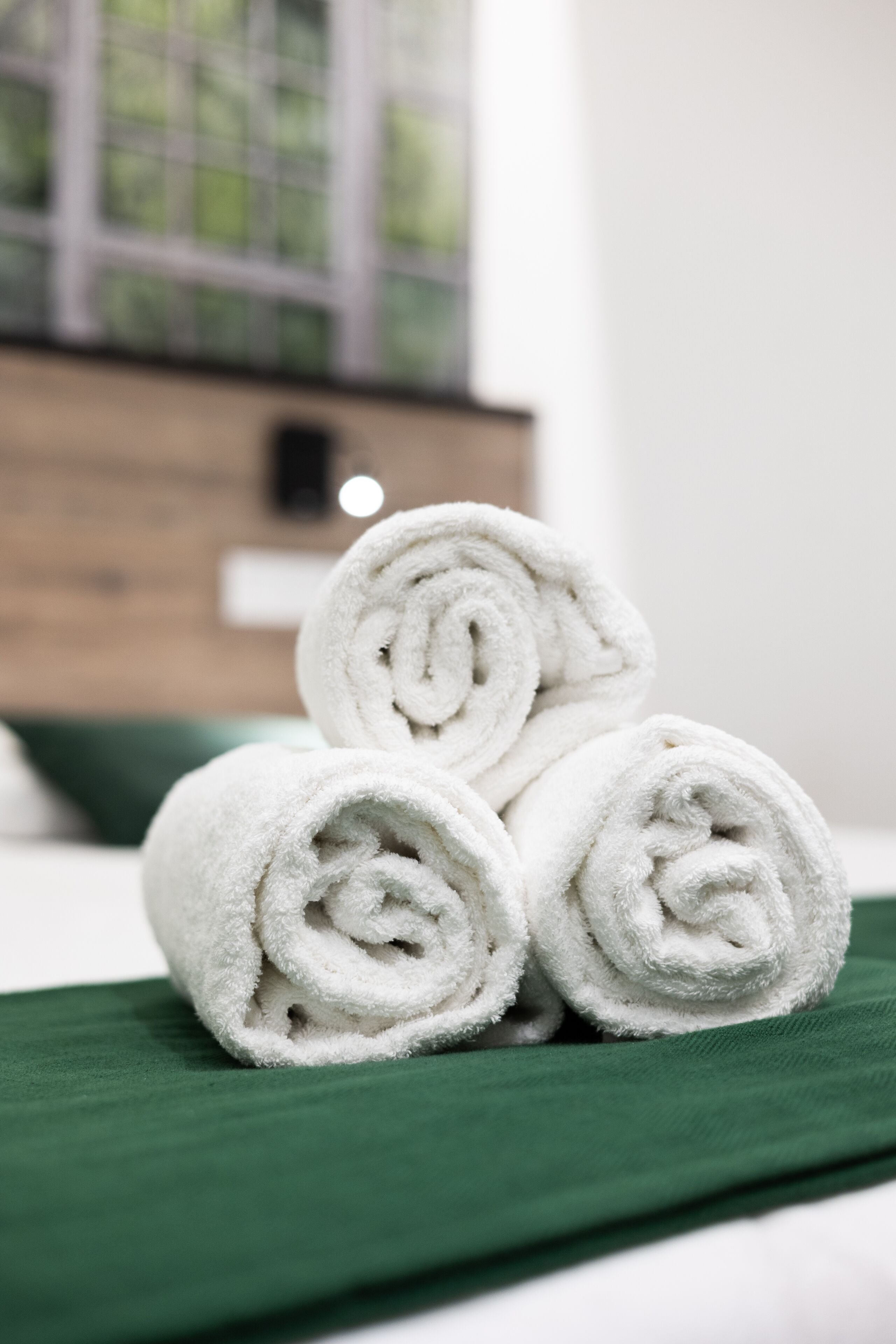 Photo - Bailén Green House