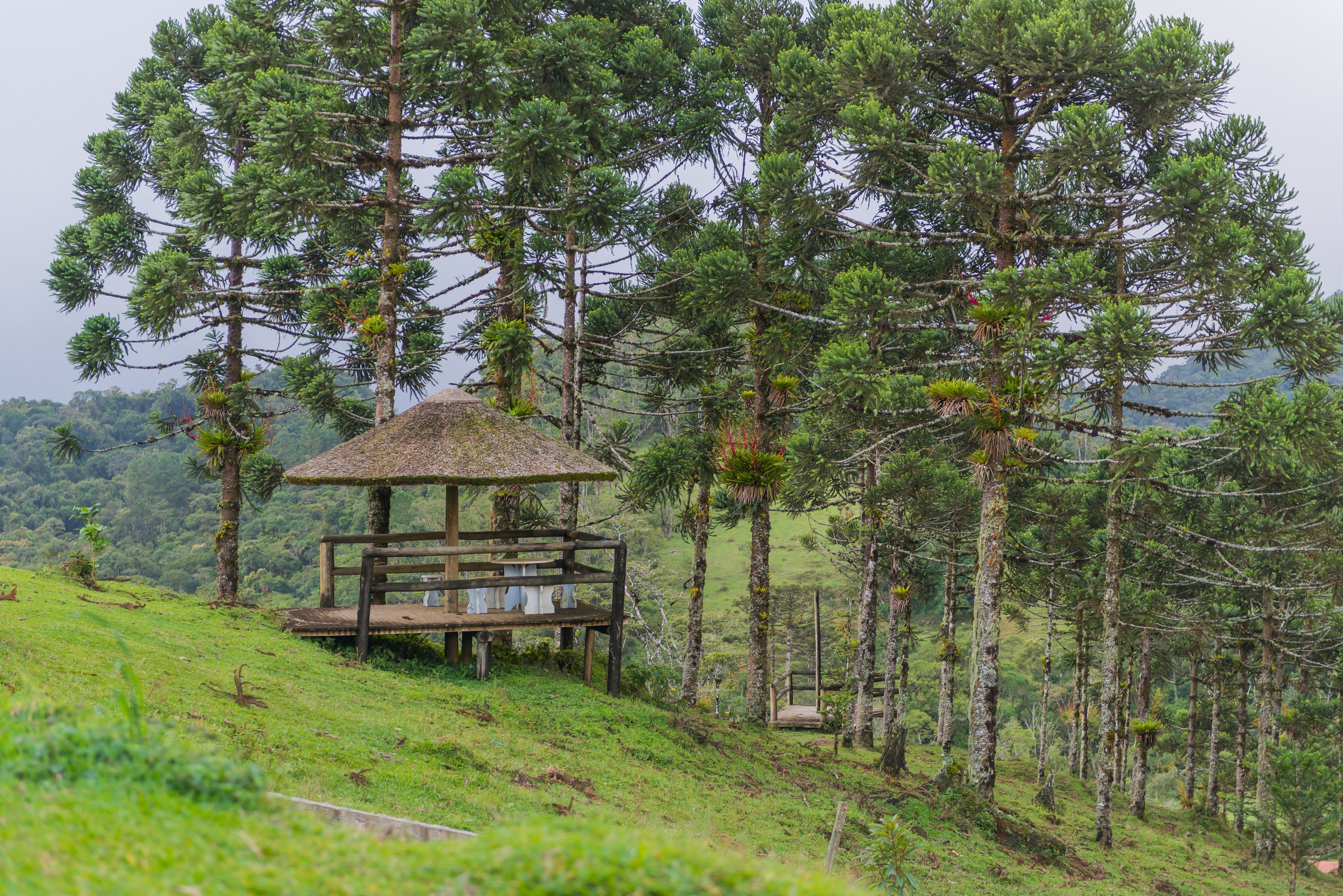 Foto - Hotel Fazenda Dona Francisca
