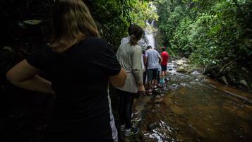 A group of people standing by a stream in a forested area.