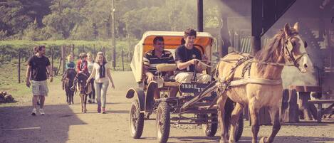A group of people walking alongside a horse-drawn carriage on a dirt road.