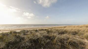Di pantai dan pasir putih