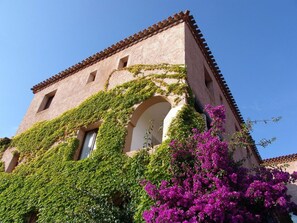 A historic building with a tiled roof, ivy-covered walls, and a prominent arched window.