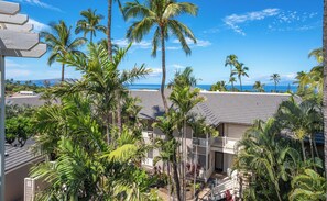 Un quartiere residenziale con diverse case, palme e vista sull'oceano.