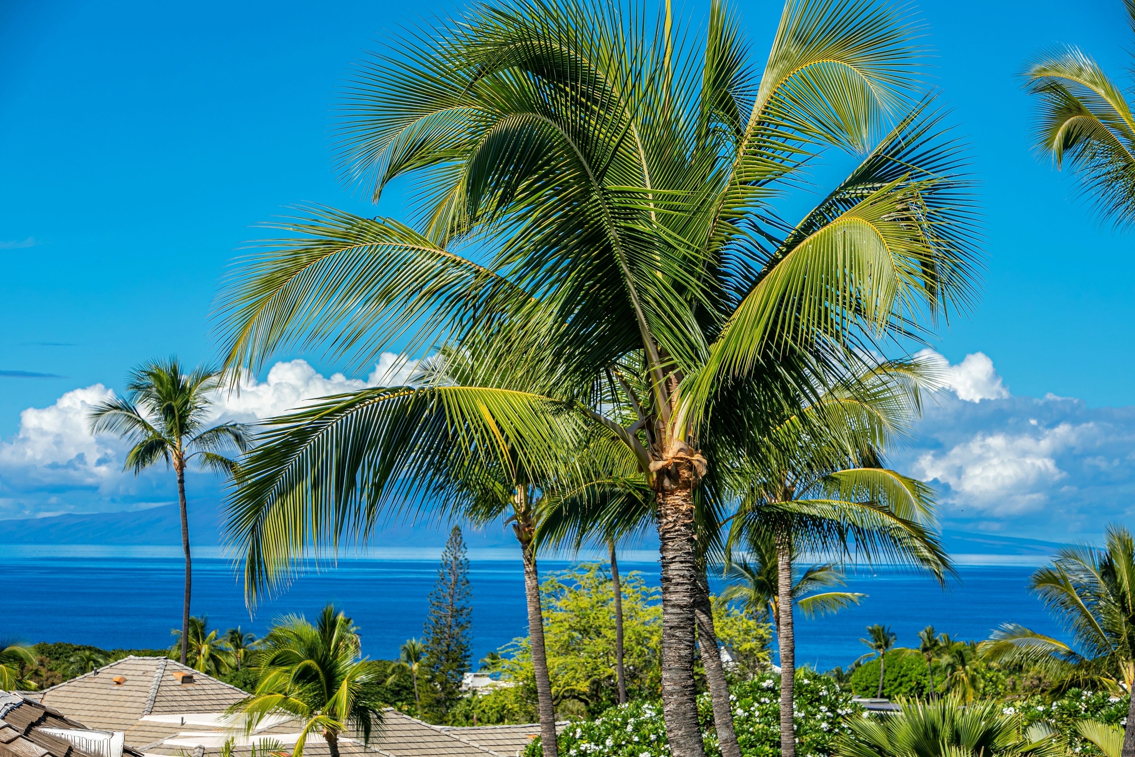 Grand Champions #48 Stunning 180 Degree Ocean Views. Top Floor Paradise Home
