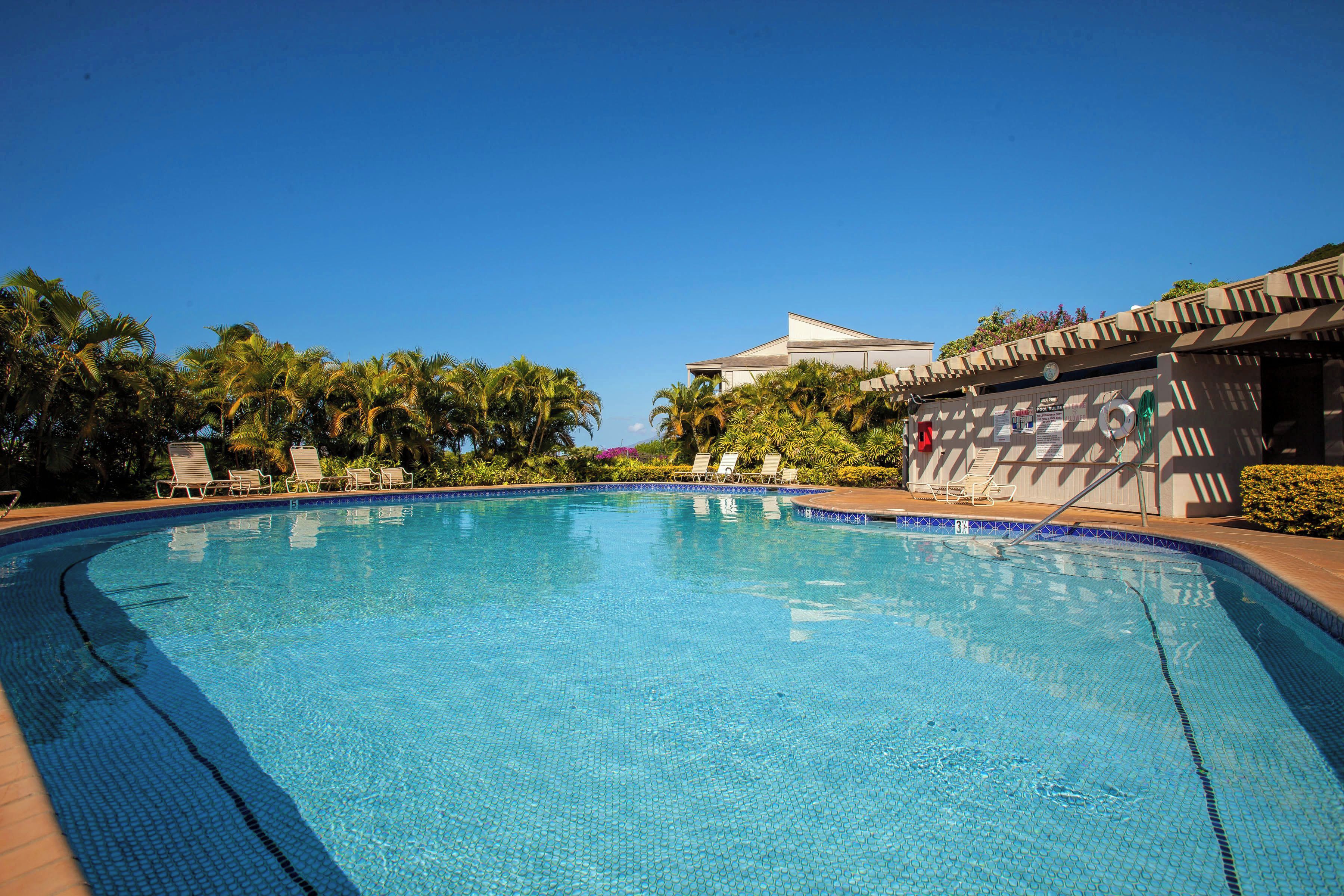 Una piscina azul cristalina con sillas de descanso y palmeras.