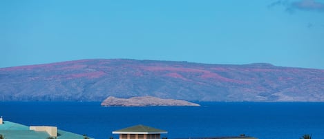 A coastal view with a mountain in the background, a body of water, and buildings with a green roof.