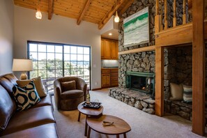 Télévision, cheminée, lecteur de DVD, livres