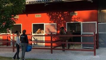Een stal met twee paarden binnen, een rood gebouw, en twee personen die buiten staan.