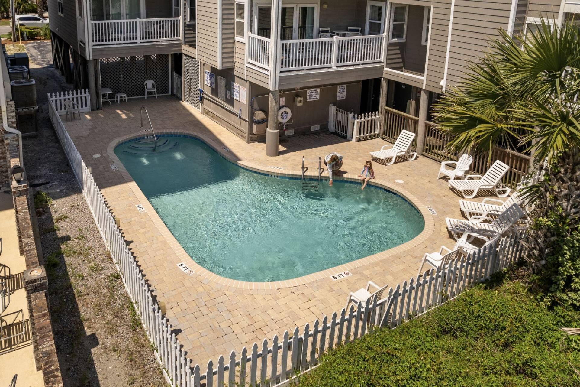A swimming pool with a white fence, lounge chairs, and a palm tree.
