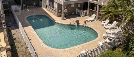 A swimming pool with a white fence, lounge chairs, and a palm tree.