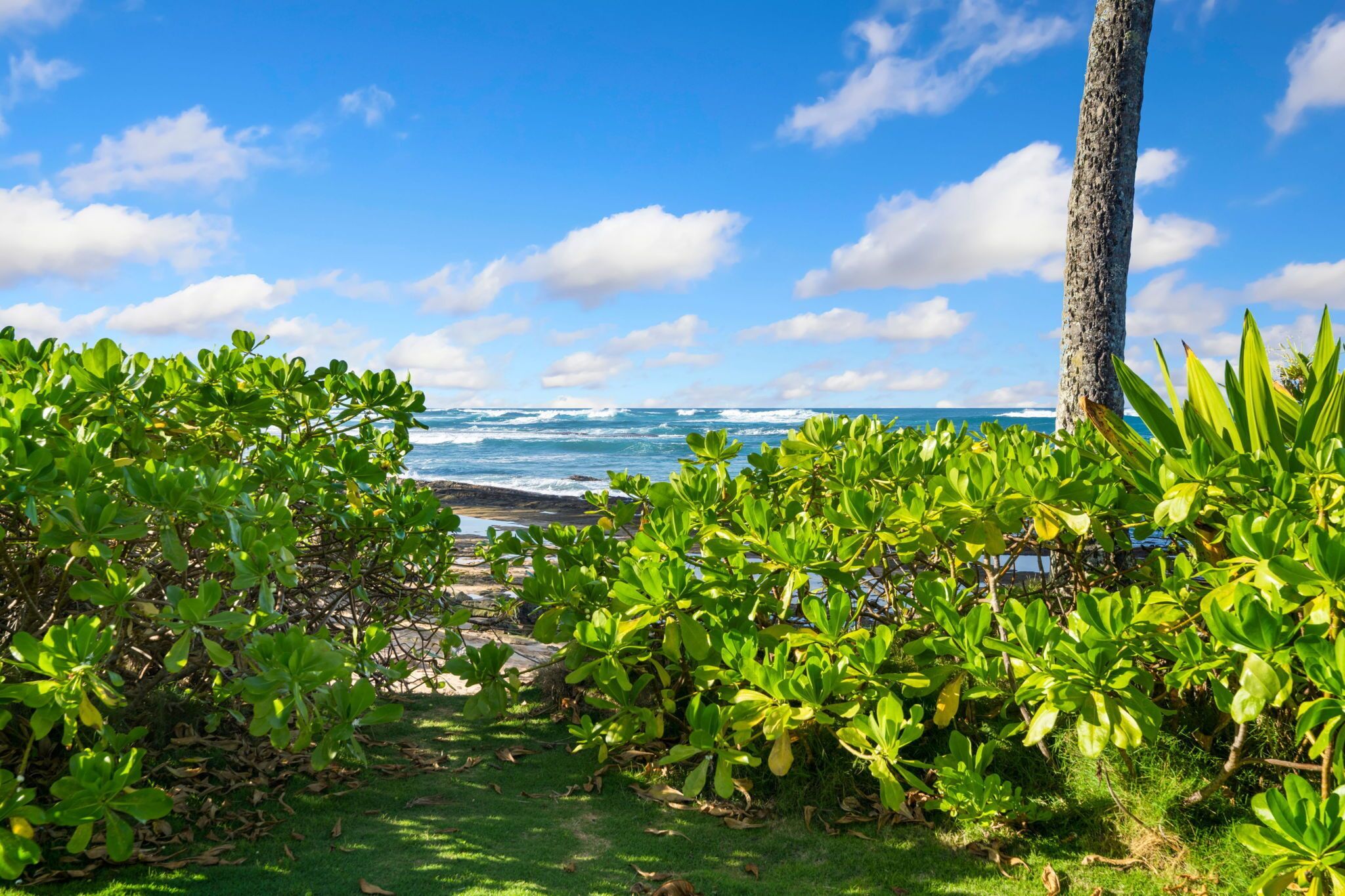 Beachfront Luxury Dream House with A\/C & Gym! - Photo 30