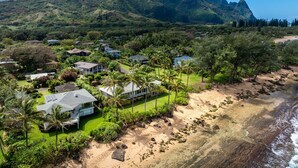 Zona residencial costera con casas, palmeras y una montaña al fondo.