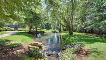 Àrea exterior de l'allotjament