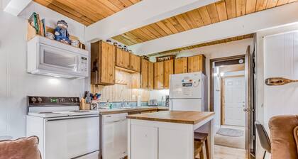 Newly remodeled cabin-style condo near skiing & attractions - dogs welcome