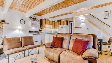 Télévision, cheminée, lecteur de DVD, livres