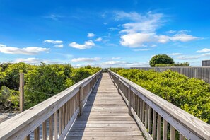 Une promenade en bois qui traverse un paysage verdoyant et luxuriant.