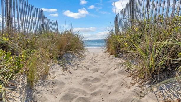En sti af sand der fører hen til havet, omgivet af træhegn og vegetation.