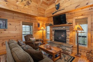 Smart TV, chimenea y libros 