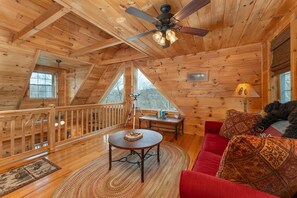 Älytelevisio, takka, kirjoja