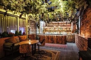 A bar area with a wooden bar counter, shelves of bottles, and hanging decorations.