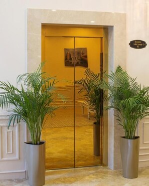 Ein Hotel Eingang mit einem goldenen Aufzug, zwei Blumentöpfen und einem Empfangsschild.