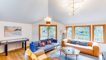 Televisor, llar de foc, reproductor de DVD i llibres