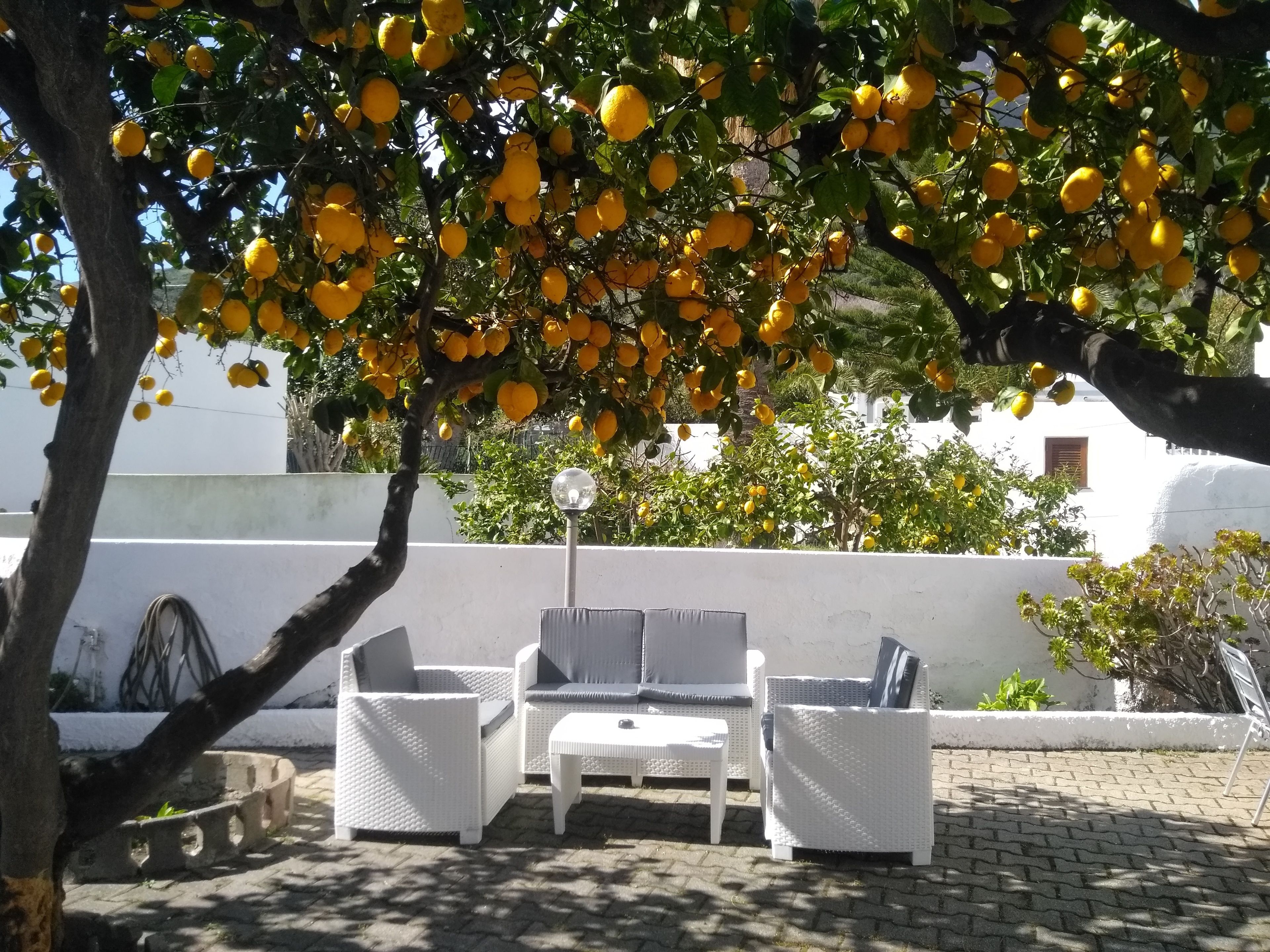Vue sur le jardin