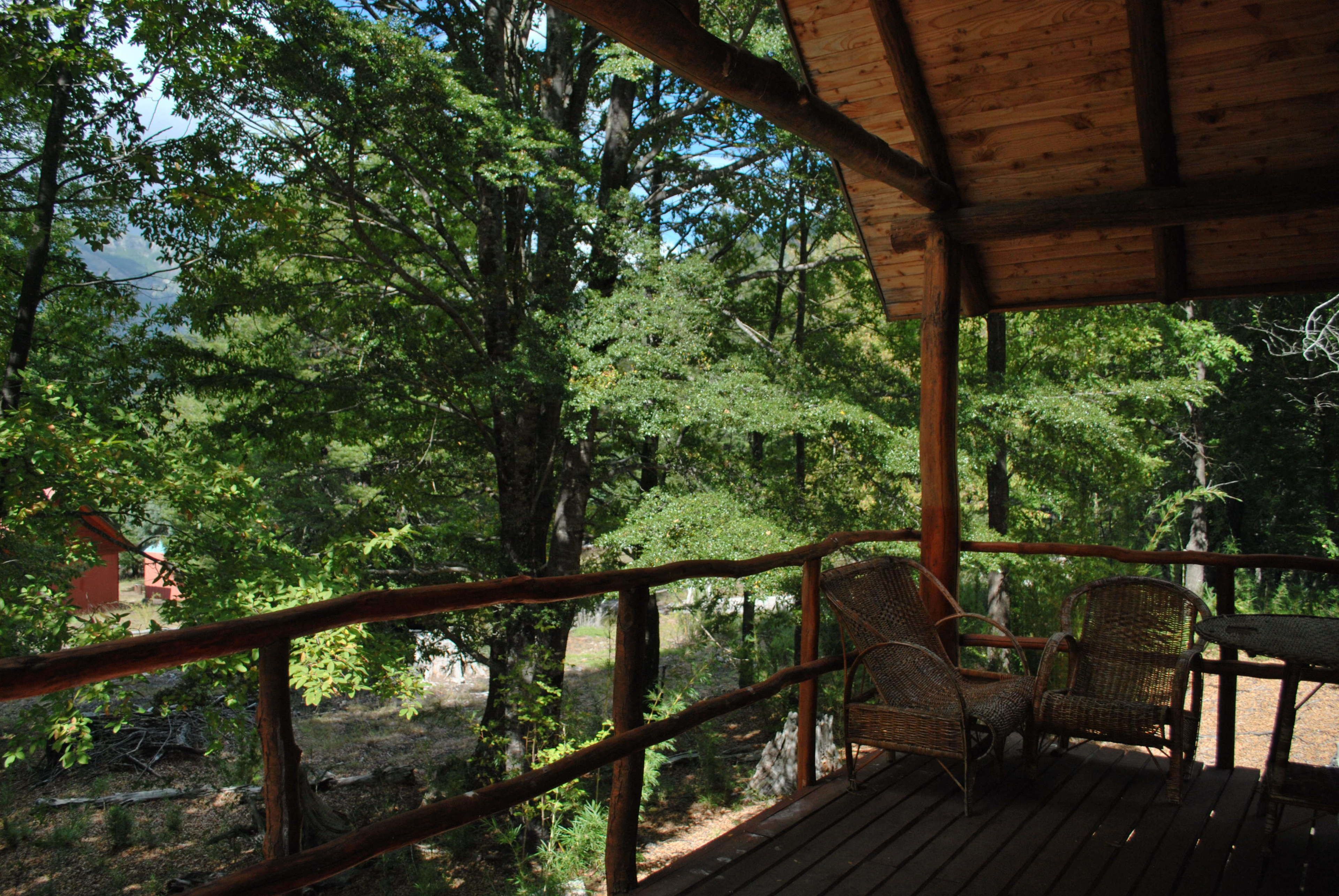 Standard House, 3 Bedrooms | Terrace/patio