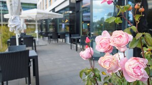 An outdoor seating area with tables and chairs, a building with large windows, and pink roses in the foreground.