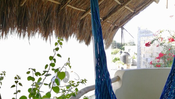 A hammock hanging under a thatched roof, a white wall, and a view of a body of water with greenery and flowers.