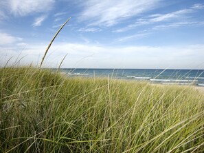 A beach with tall grass in the foreground and the ocean in the background. - Walk to Beach & the pool! Beachwalk Resort for 7 (Michigan City)