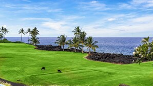 A golf course with a view of the ocean and palm trees.
