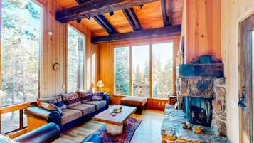 Televisión, chimenea, reproductor de DVD y libros