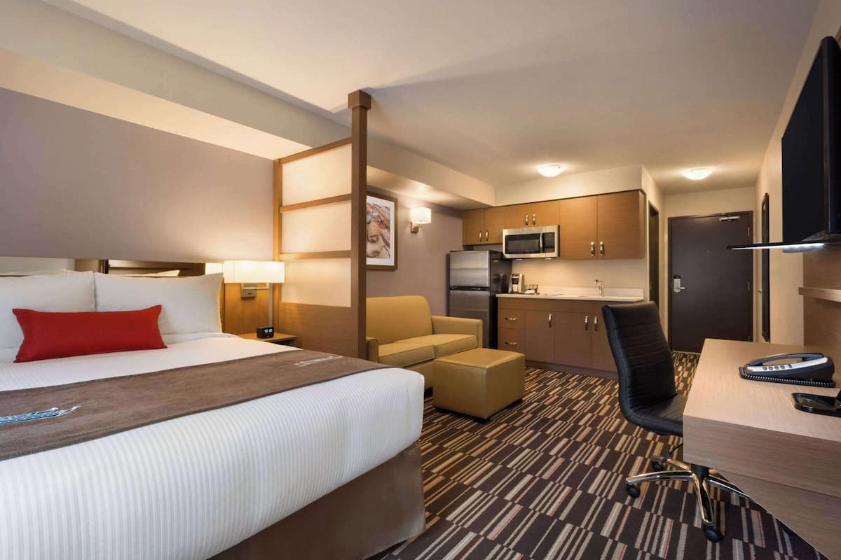 A hotel room with a bed, a desk, a chair, a sofa, a microwave, a refrigerator, and a television.